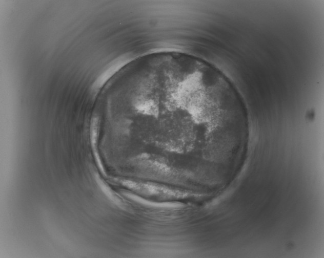 X0000113861137200910151230