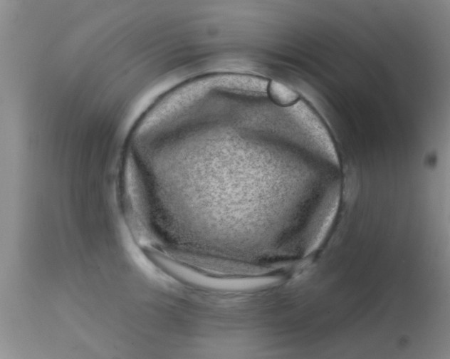 X0000113861139200910151230