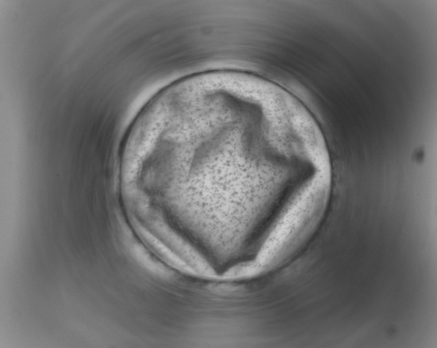 X0000113861140200910151230