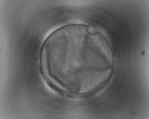 X0000113861141200910151230