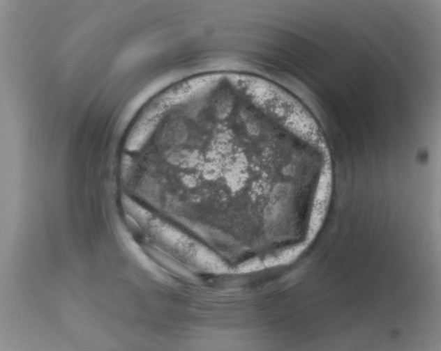 X0000113861142200910151230