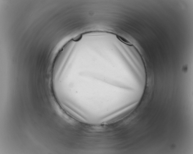 X0000113861144200910151230