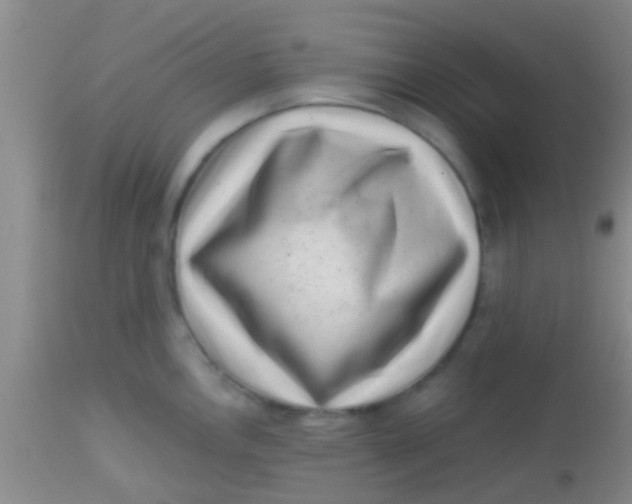 X0000113861146200910151230