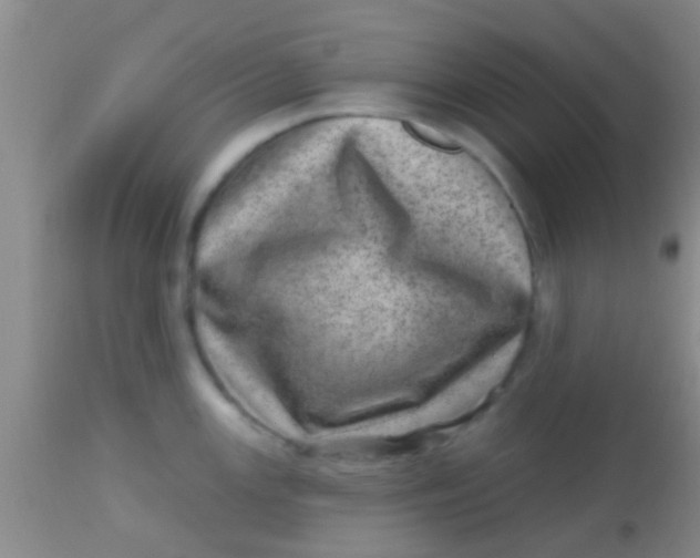 X0000113861147200910151230