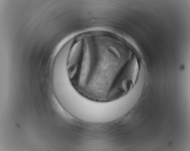 X0000113861148200910151230