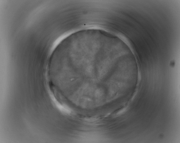 X0000113861149200910151230