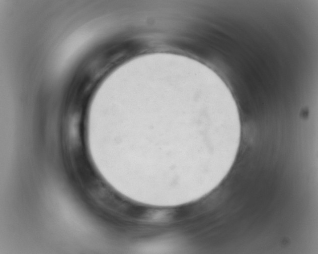 X0000113861150200910151230