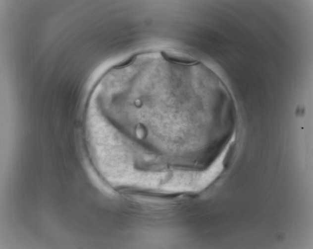 X0000113861152200910151230