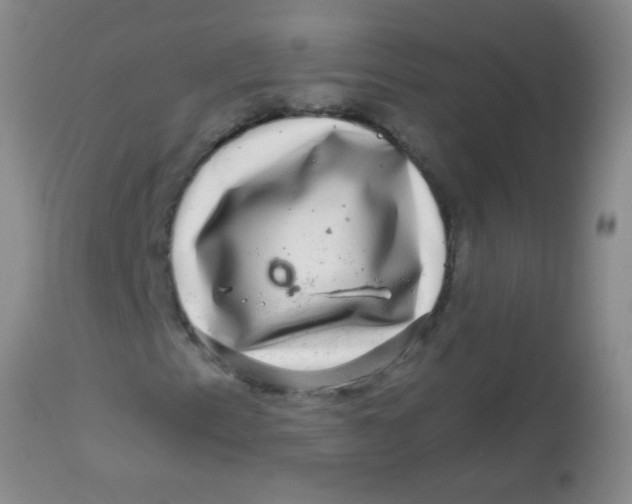 X0000113861153200910151229