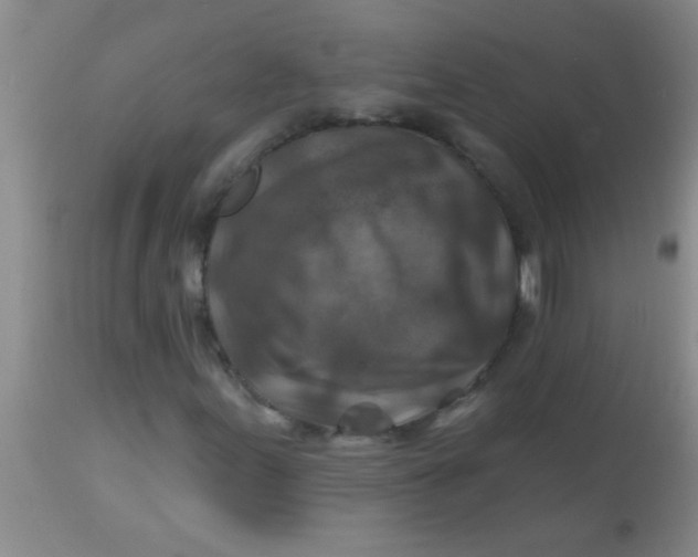 X0000113861155200910151229