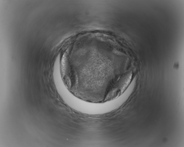 X0000113861157200910151229