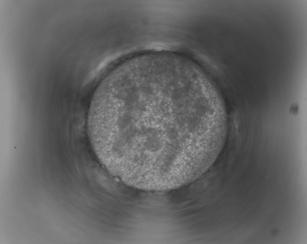 X0000113861158200910151229