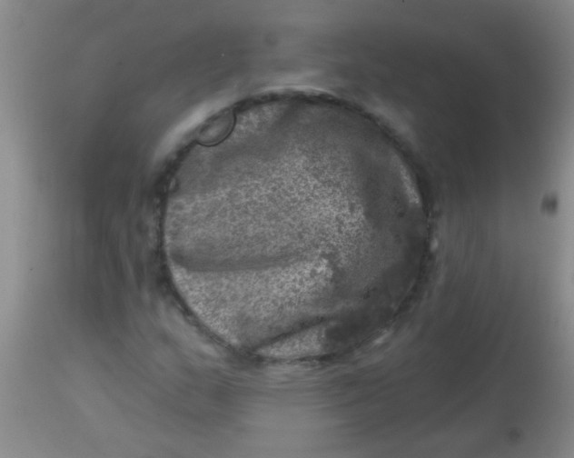 X0000113861159200910151229