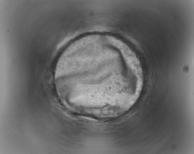 X0000113861160200910151229