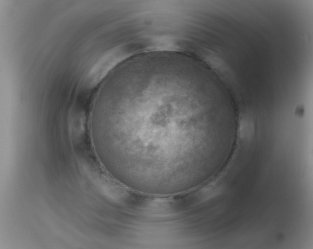 X0000113861161200910151229