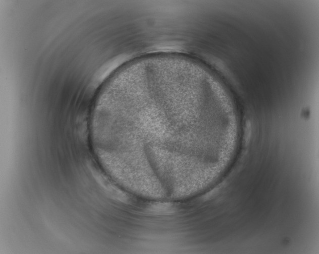 X0000113861162200910151229