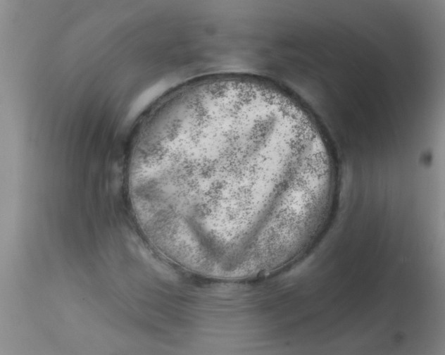 X0000113861163200910151229