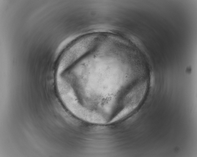 X0000113861164200910151229