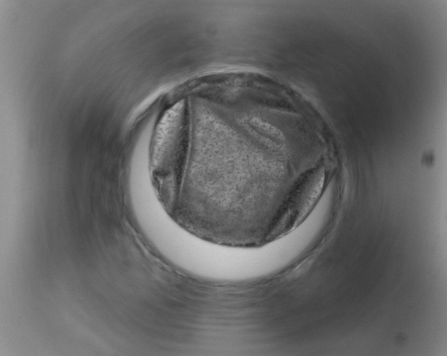 X0000113861165200910151229