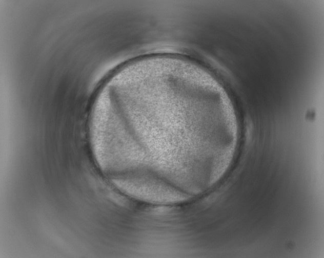 X0000113861166200910151229