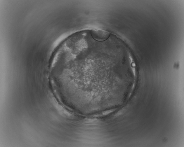 X0000113861168200910151229