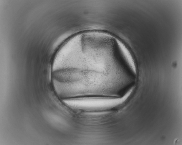 X0000113861171200910151229
