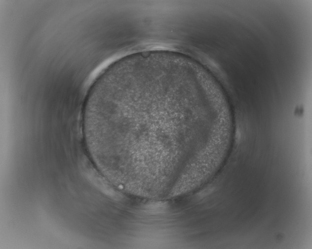 X0000113861174200910151229