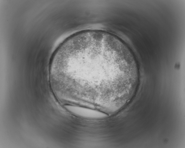 X0000113861176200910151229