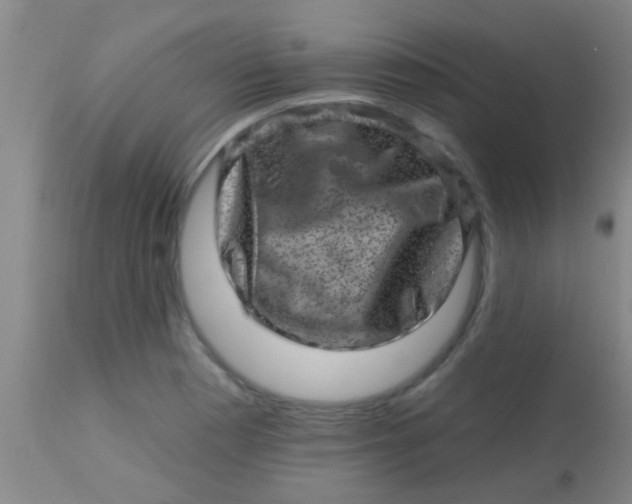 X0000113861177200910151229