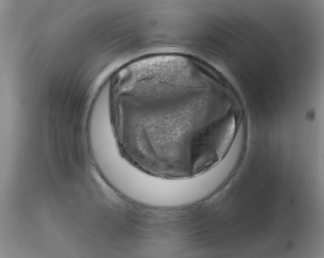 X0000113861181200910151229