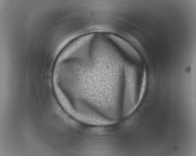 X0000113861182200910151229