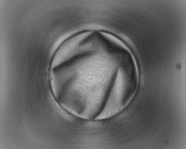 X0000113861183200910151229
