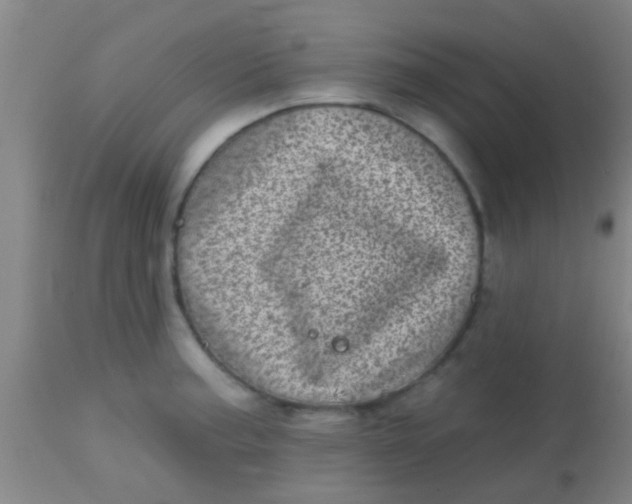 X0000113861187200910151229