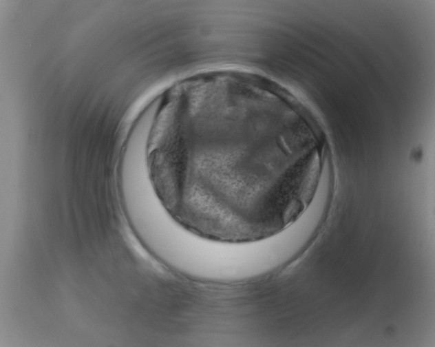 X0000113861189200910151229