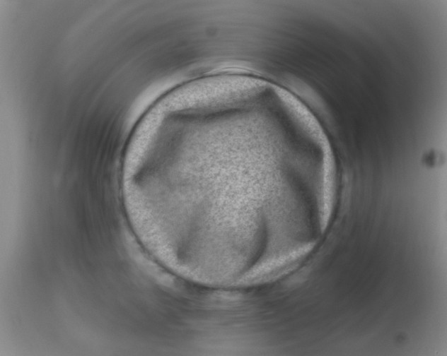X0000113861190200910151228