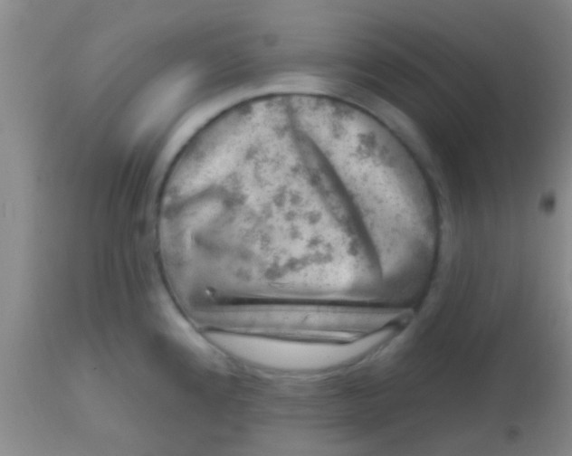 X0000113861192200910151228