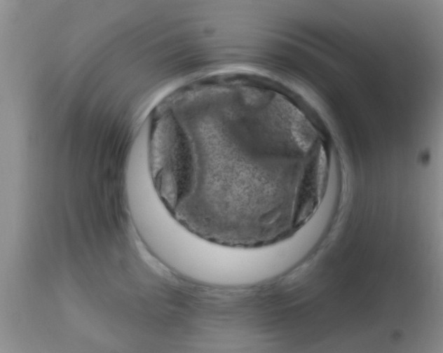 X0000113861193200910151228