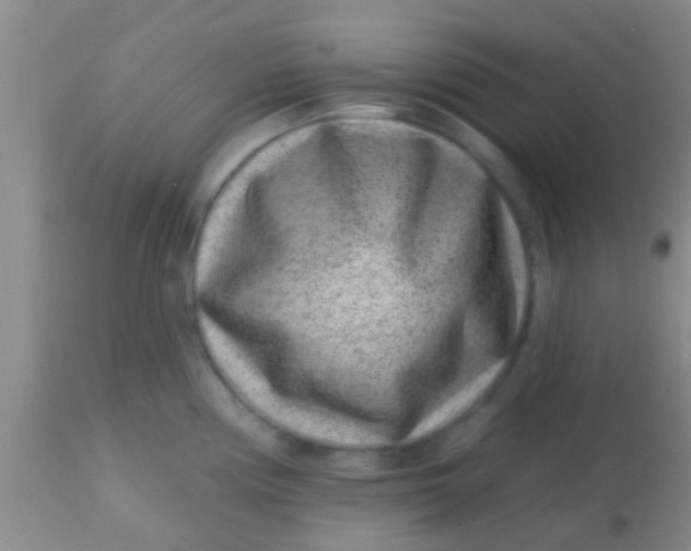 X0000113861194200910151228