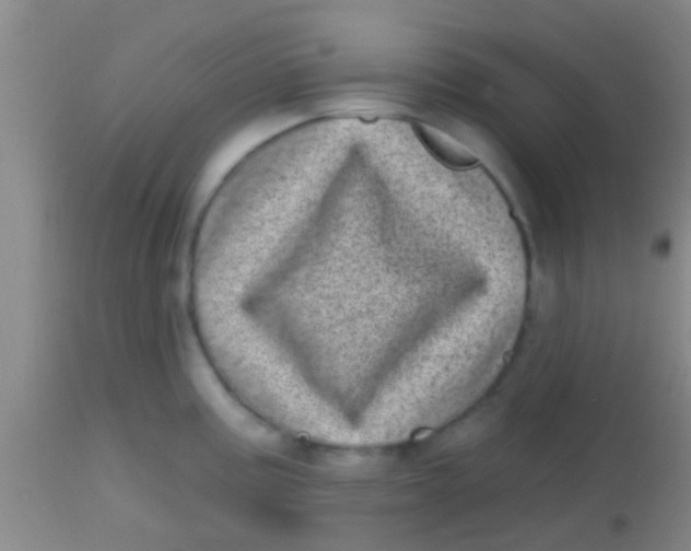 X0000113861195200910151228