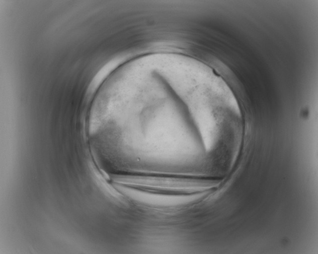 X0000113861196200910151228