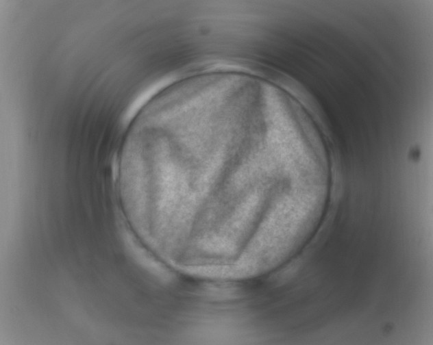 X0000113861198200910151228