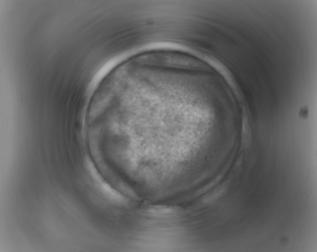 X0000113861199200910151228