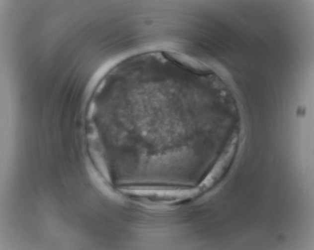 X0000113861200200910151228