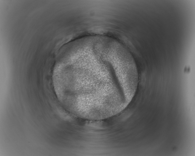 X0000113861201200910151228