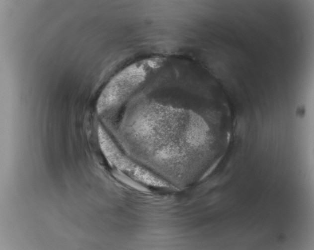 X0000113861202200910151228