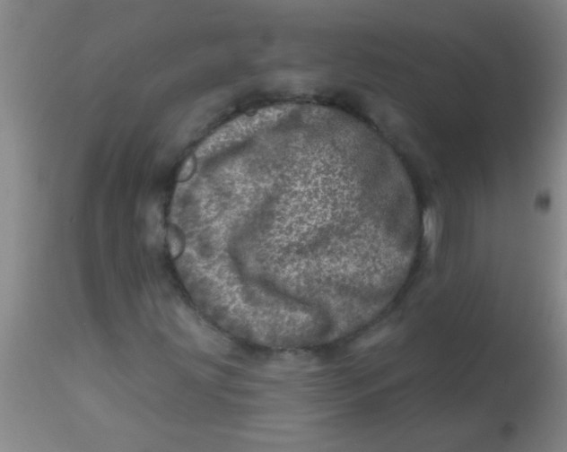 X0000113861203200910151228