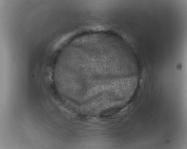 X0000113861205200910151228