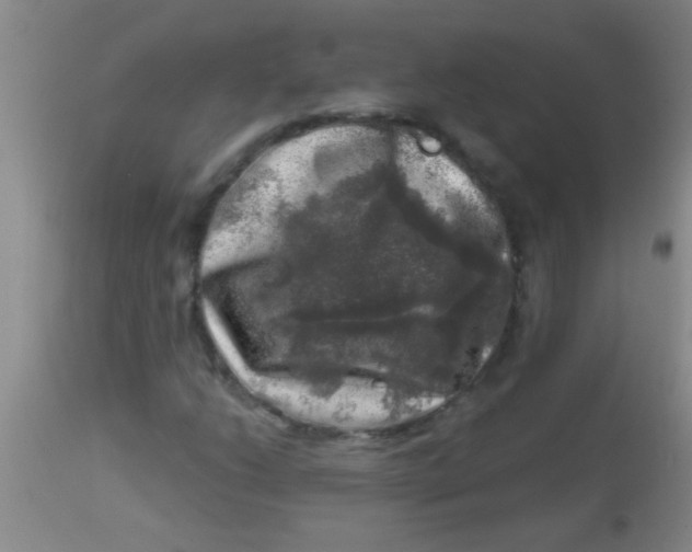 X0000113861206200910151228