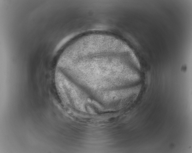 X0000113861208200910151228