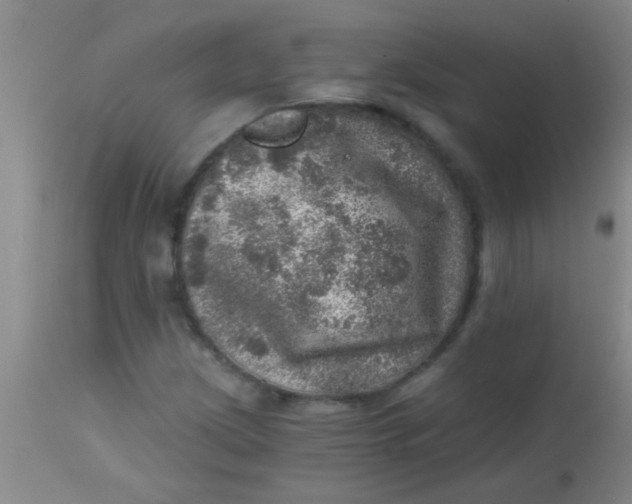 X0000113861209200910151228